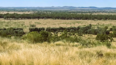 Crowsash QLD