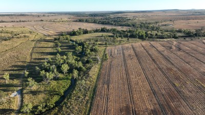 Pine Hills and Mossgiel NSW