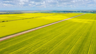 Torrumbarry Farms Aggregation VIC