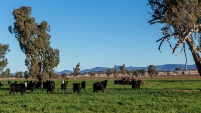 Swanton and Menedebri NSW