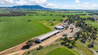 Wild Dog Creek SA