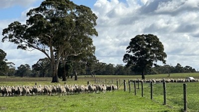 Karatta Aggregation, SA