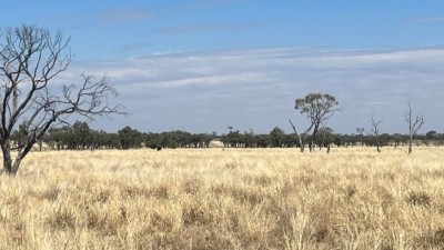 Linamar QLD