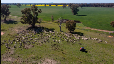 Noorongong NSW