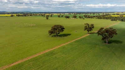Rockleigh NSW