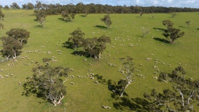 Childerley Park SA