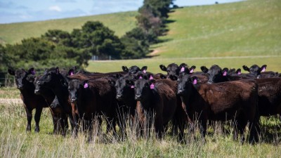 Gundowringa NSW