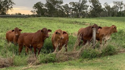 Hidden Valley QLD