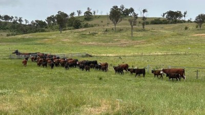 Inverinate NSW