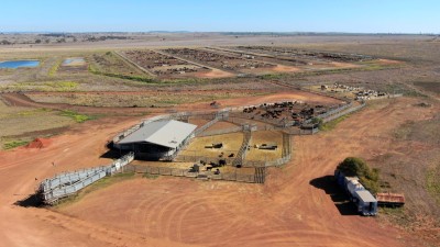 Roma Feedlot & Spelling Yards QLD