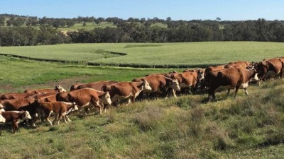 Lockerbie NSW