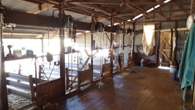 Moonby Station QLD