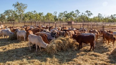Napier Valley and Jarrahdale NT