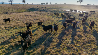Summer Hill & Rosedale NSW