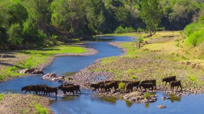 The River Run NSW