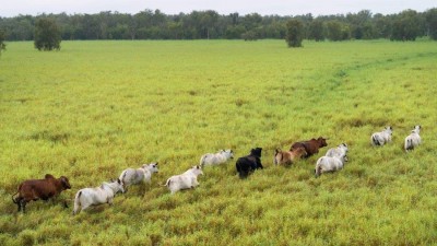 Woolner Station NT