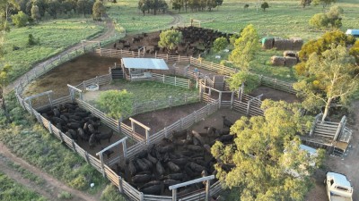 Binbian Downs QLD