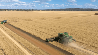 Boundary Farms QLD