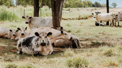 Bullamakinka QLD
