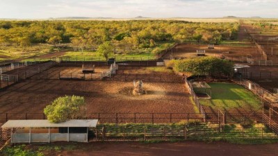 Limbunya NT