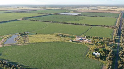 Berwyndale QLD
