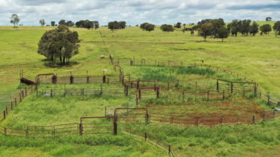 Pamaroo QLD