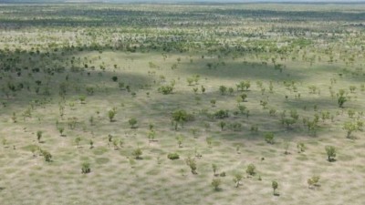 Aroona NT