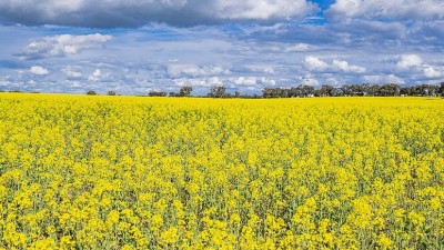 Dudleigh Aggregation NSW