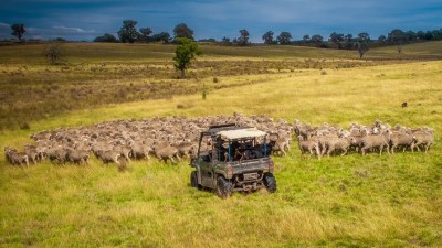 Glencoe NSW