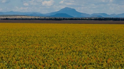Mallanganee NSW