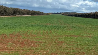 Mt Alma and Beulah NSW