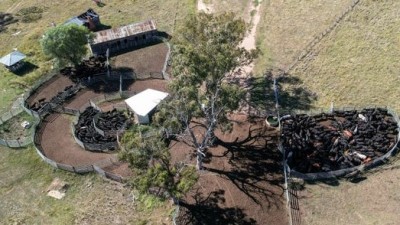 Pindaroi Station NSW