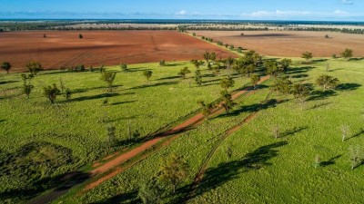 Benah NSW