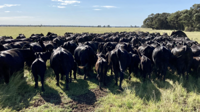 Burnbrae QLD