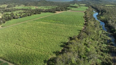Pinevale QLD