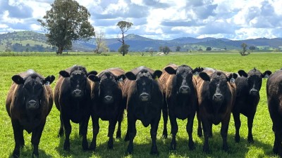 Rivendell NSW
