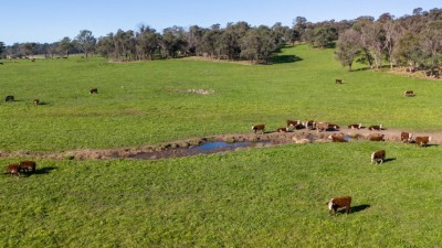 Forest Lodge NSW