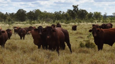 Gattonvale Holding QLD