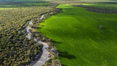 Trewilga NSW