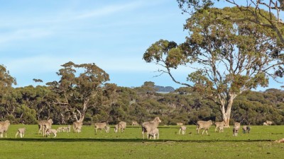 Yattarna, Kangaroo Island