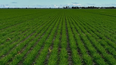 Yileena NSW