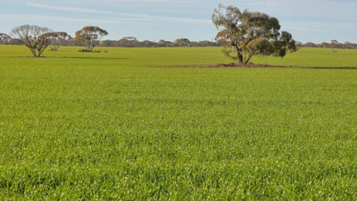 56 & 57 Meridian Road, Merrinee VIC