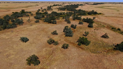Enryb Downs QLD