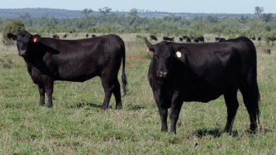 Stratton QLD