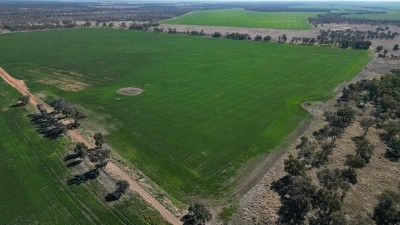 West Ginnibri QLD