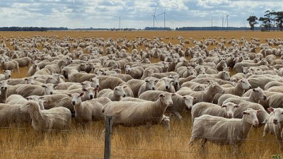 Winnidad Pastoral Aggregation VIC