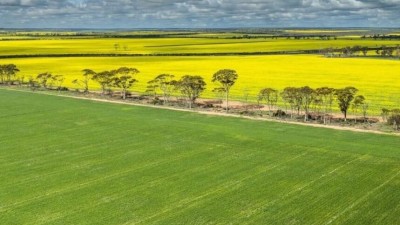 Bodallin Aggregation WA