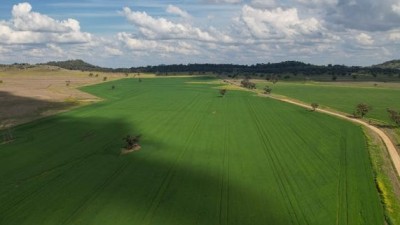 Caradoc Park NSW