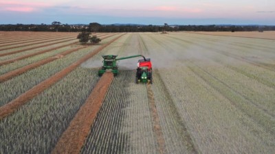 Carrs Plain VIC