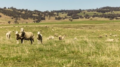 Hazeldean NSW